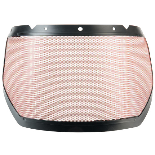 Head & Sensory Protection