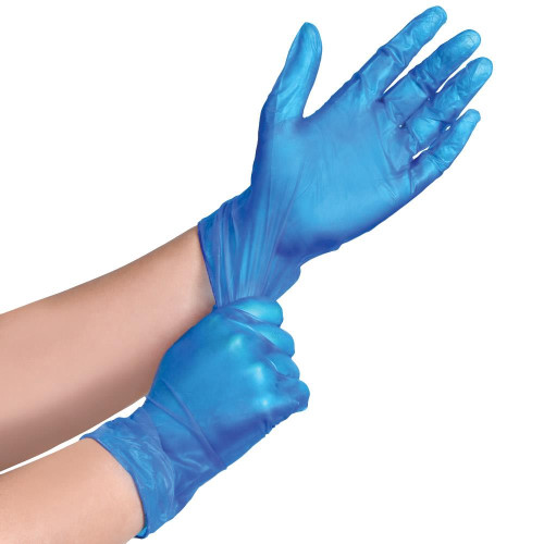 Vinyl Disposable Gloves - Box of 100 gloves - Size Large